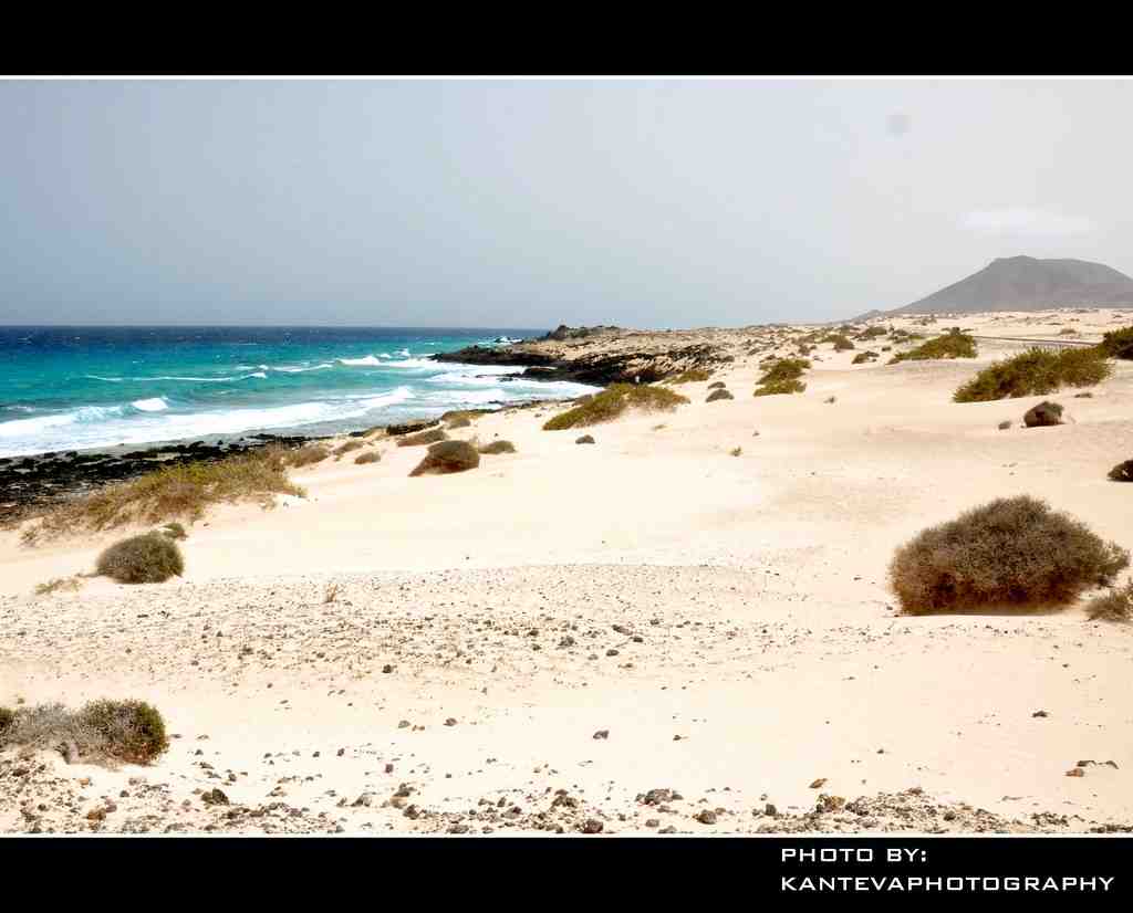 Où aller en vacances à Fuerteventura ?