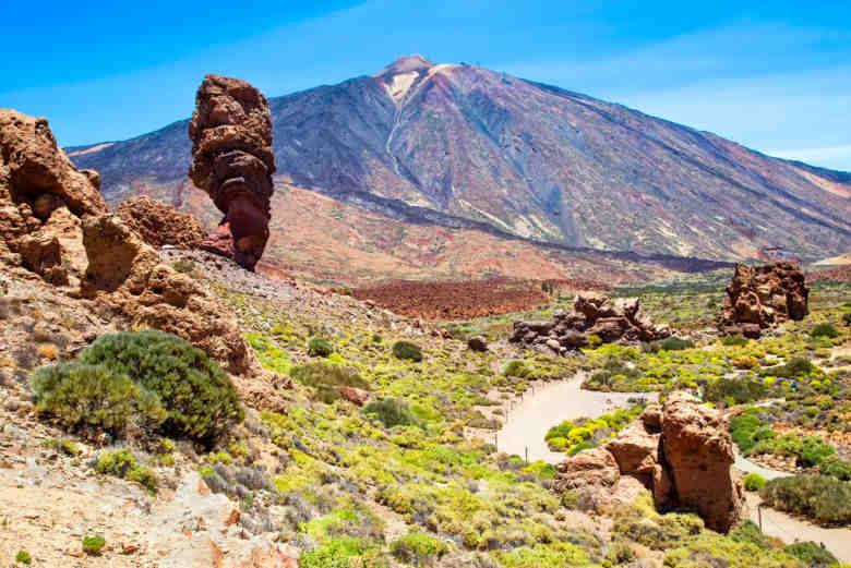 Quelle est la taille du plus grand volcan du monde ?