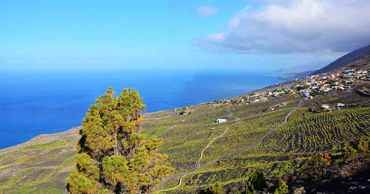 Quelle île des Canaries est la moins chère ?